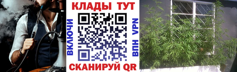 Наркошоп купить Конопля Cocaine Амфетамин Галлюциногенные грибы Мефедрон Княгинино