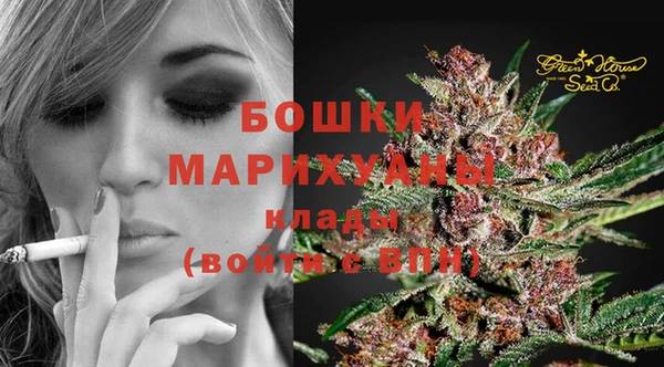 стафф Пересвет