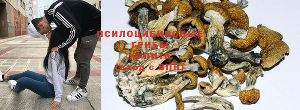 стафф Пересвет